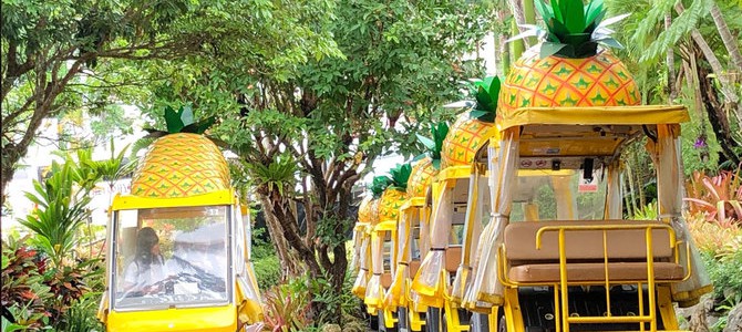 【提言】完全自動運転は可能か？沖縄名護市のテーマパークで見た「未来像」