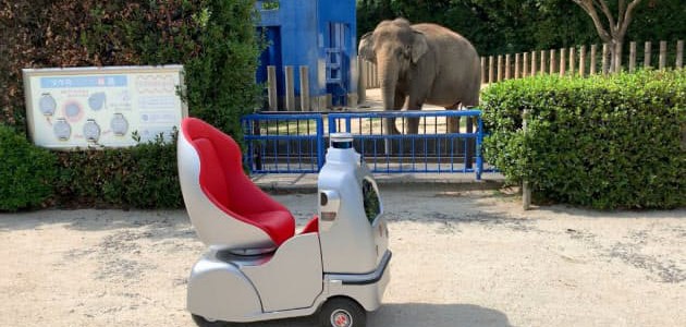 【話題・自動運転】自走ロボで動物園巡り、千葉市でガイド付き乗車体験