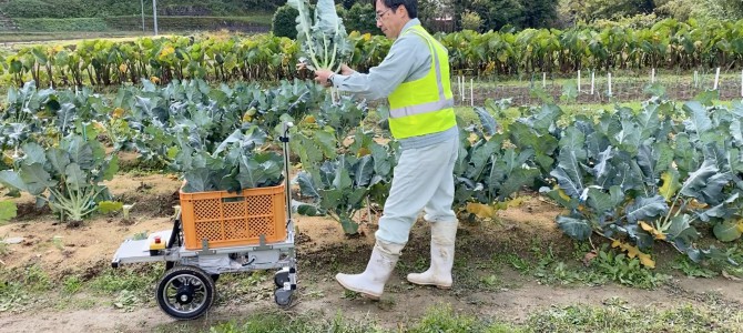 【話題・自動運転】農家に超朗報！収穫用コンテナが人に追従、AIと自動運転技術で実現